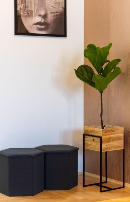 Apartament Gozsdu White Raven 3 - Terrace And Free Underground Parking Budapeszt Zewnętrze zdjęcie